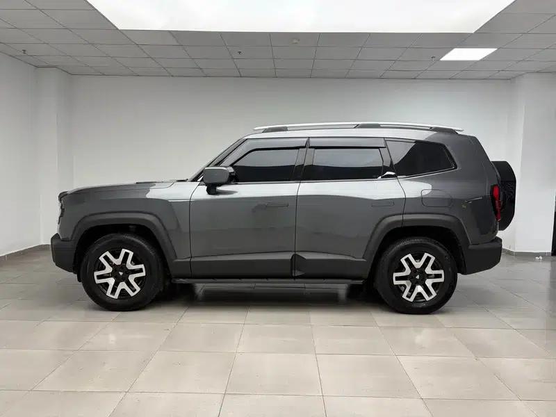 Deep Blue G318 2024 Two-Wheel Drive Comfort Edition — миниатюра 4