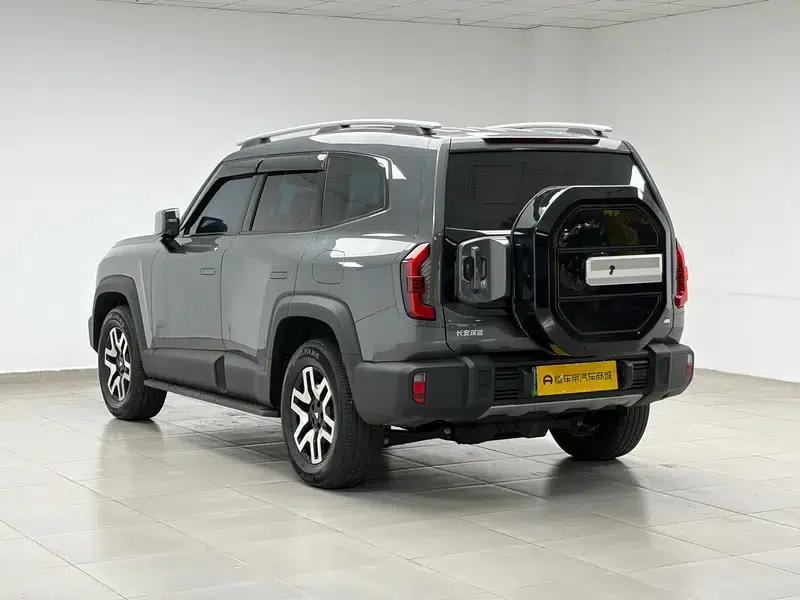 Deep Blue G318 2024 Two-Wheel Drive Comfort Edition — миниатюра 5