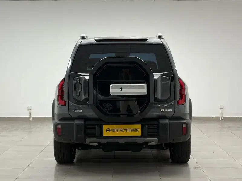 Deep Blue G318 2024 Two-Wheel Drive Comfort Edition — миниатюра 6