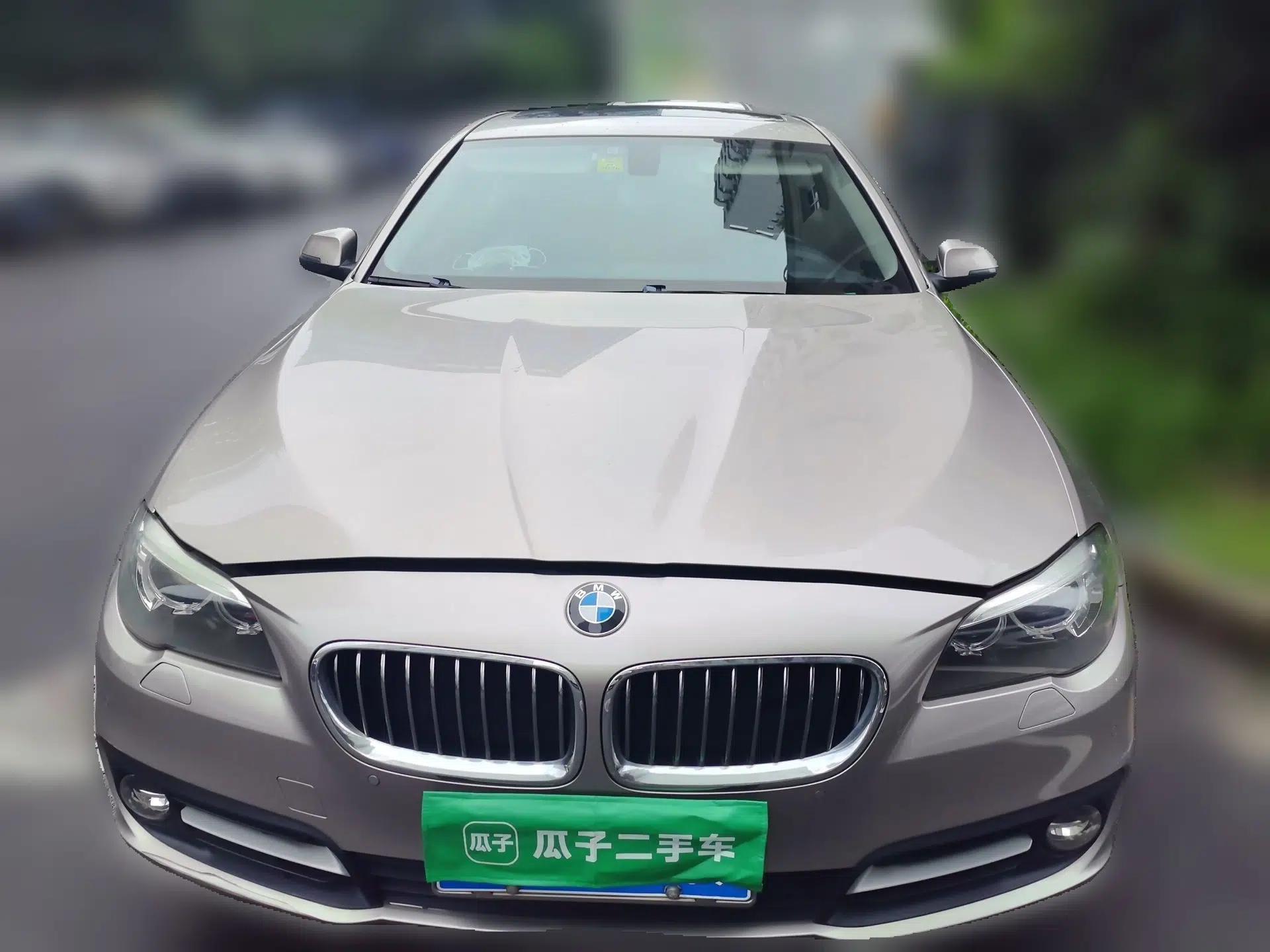 BMW 5 Series 2014 520Li Elegant Model — миниатюра 2