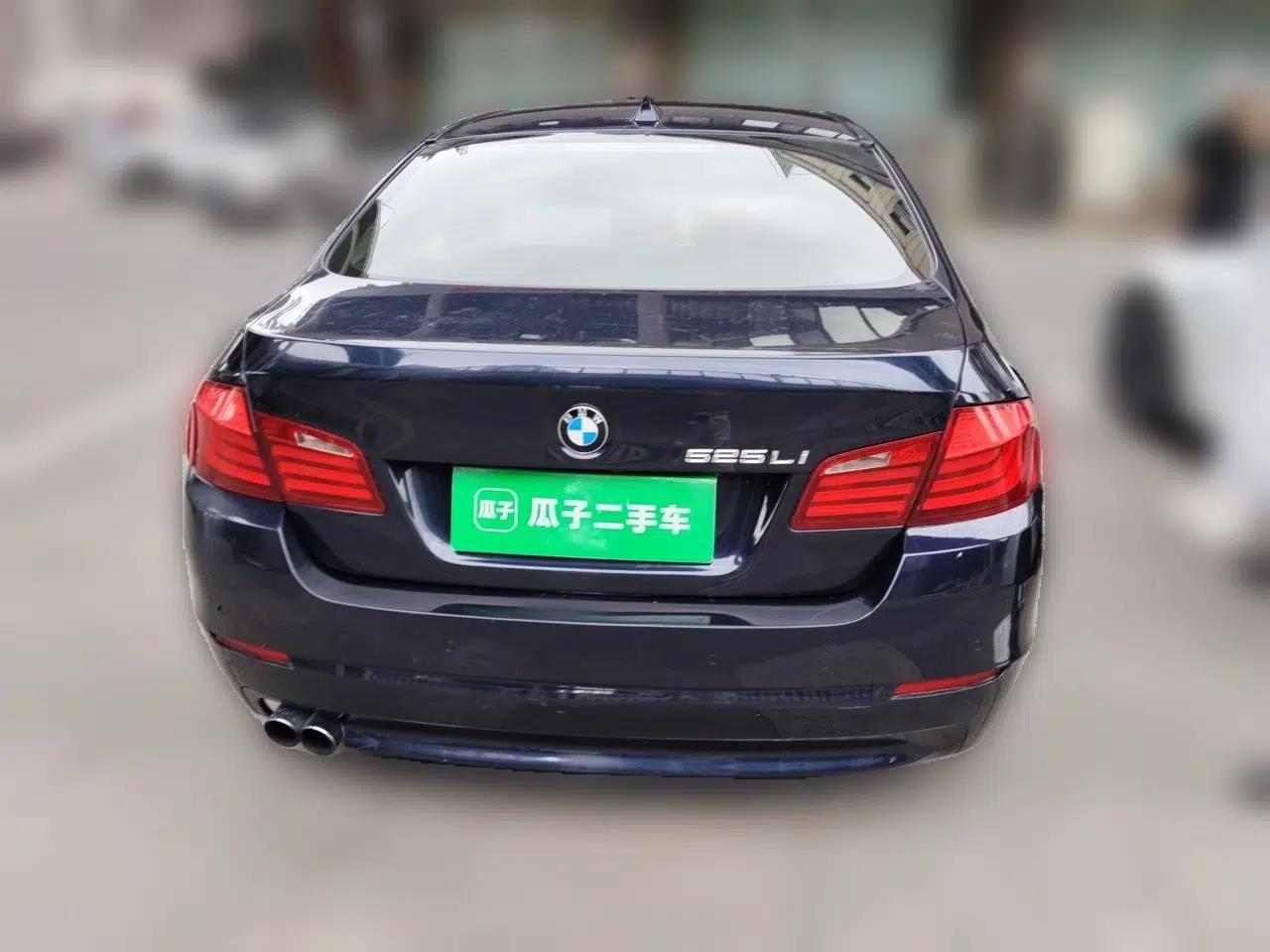 BMW 5 Series 2013 525Li Luxury Model — миниатюра 5