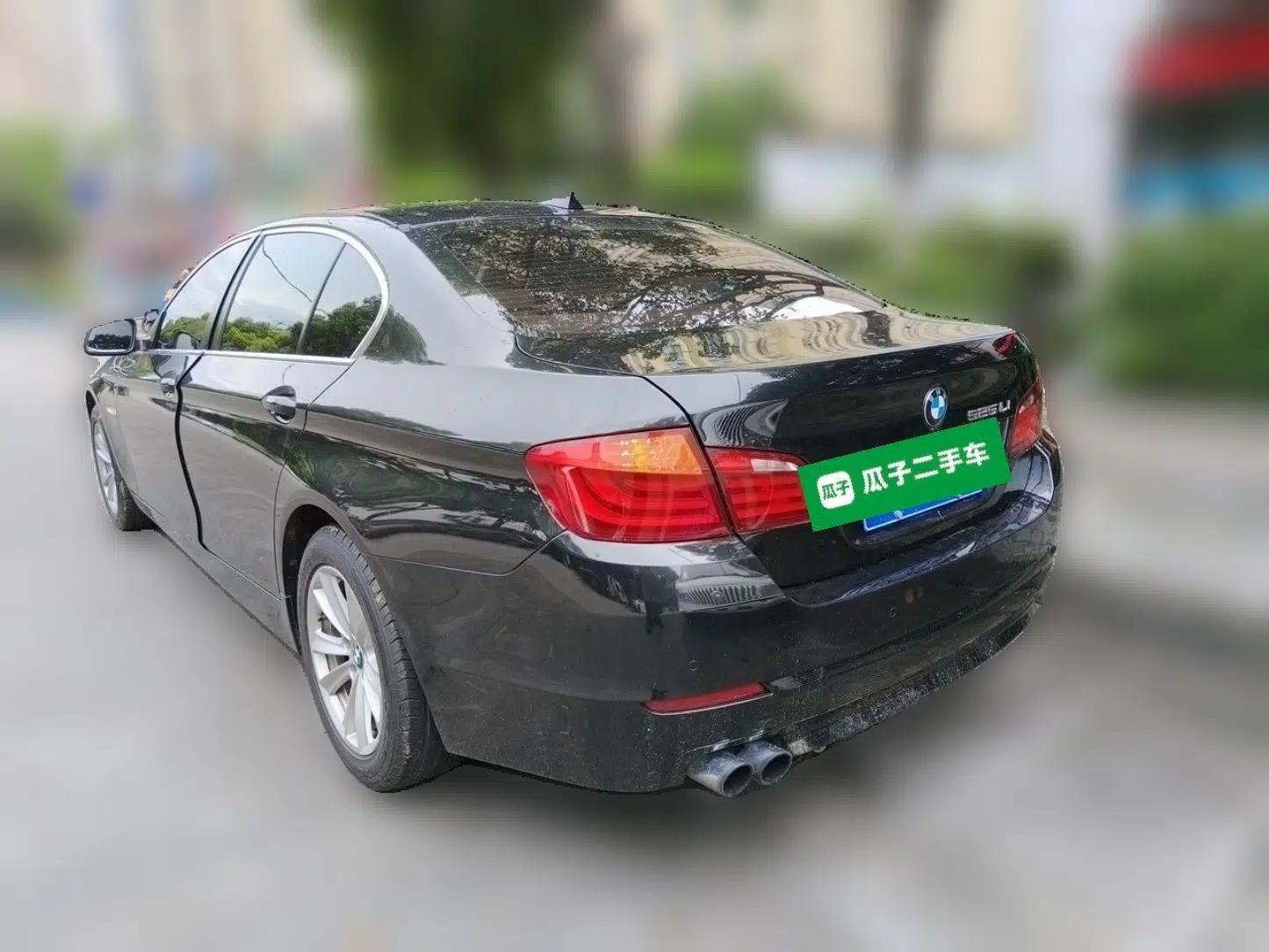BMW 5 Series 2013 525Li Luxury Model — миниатюра 4