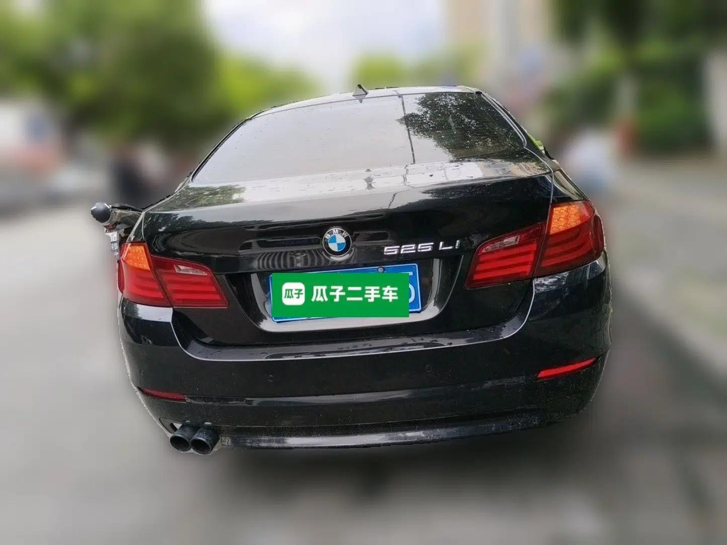 BMW 5 Series 2013 525Li Luxury Model — миниатюра 5