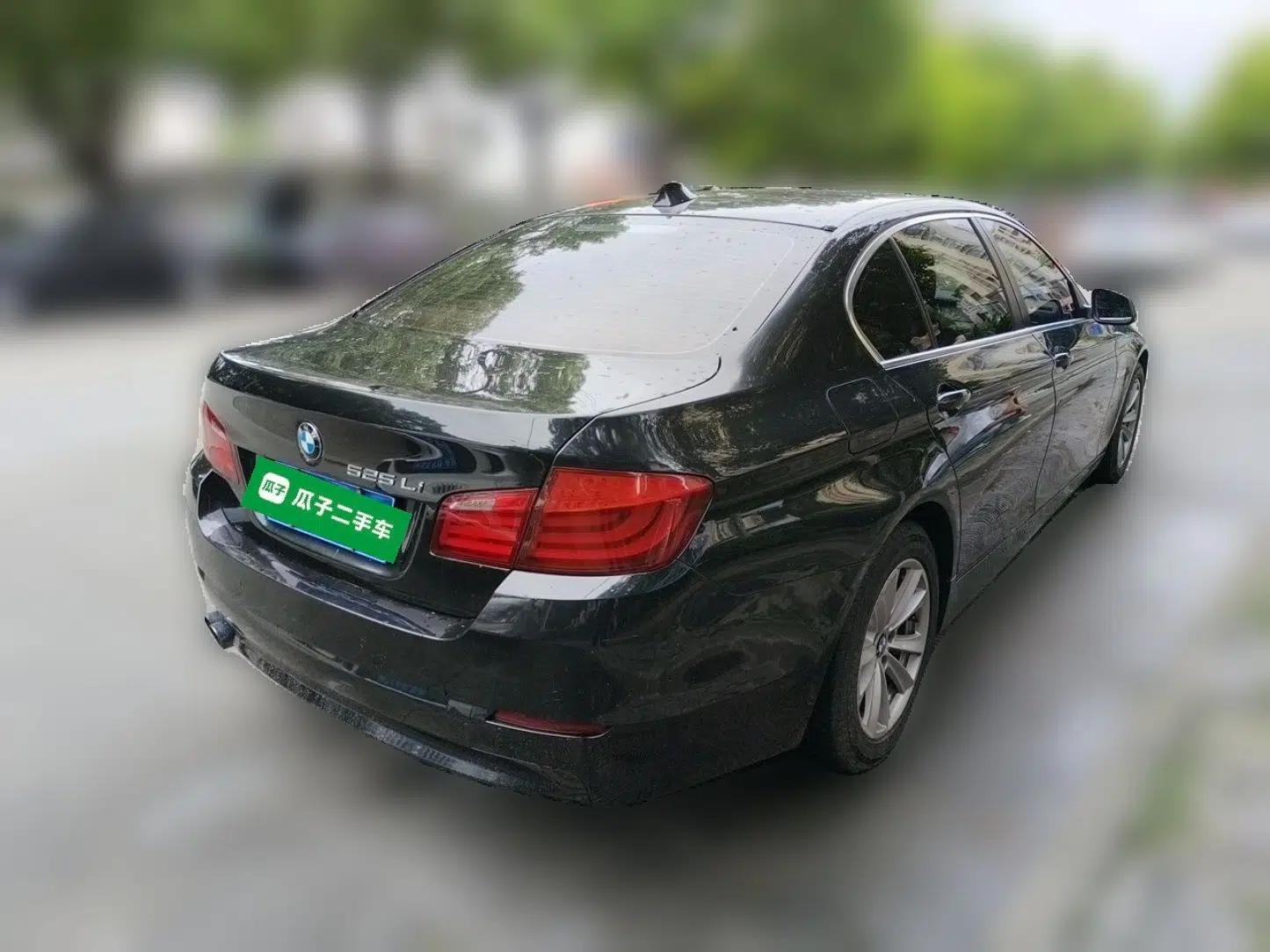 BMW 5 Series 2013 525Li Luxury Model — миниатюра 6