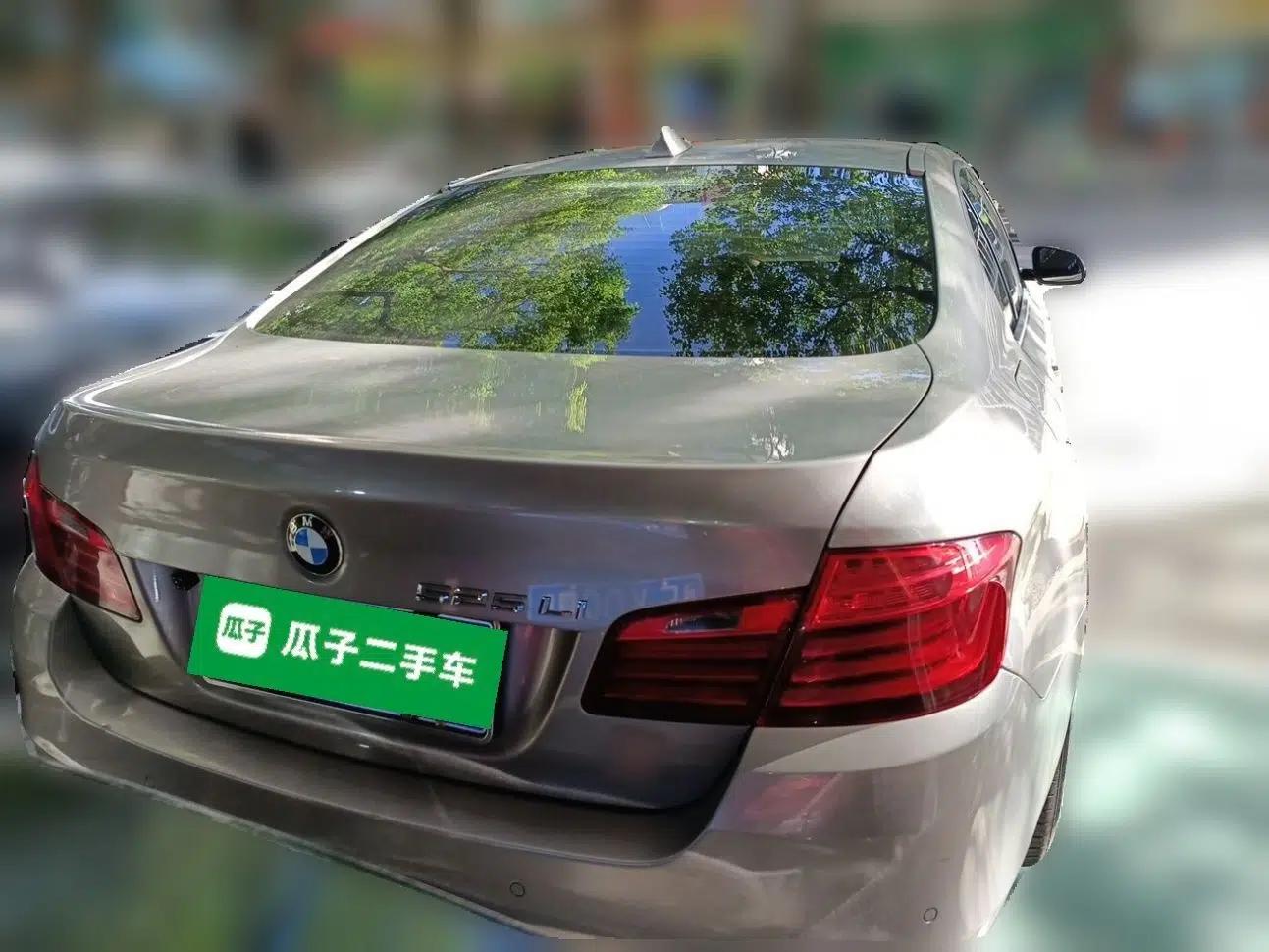 BMW 5 Series 2014 520Li Elegant Model — миниатюра 5