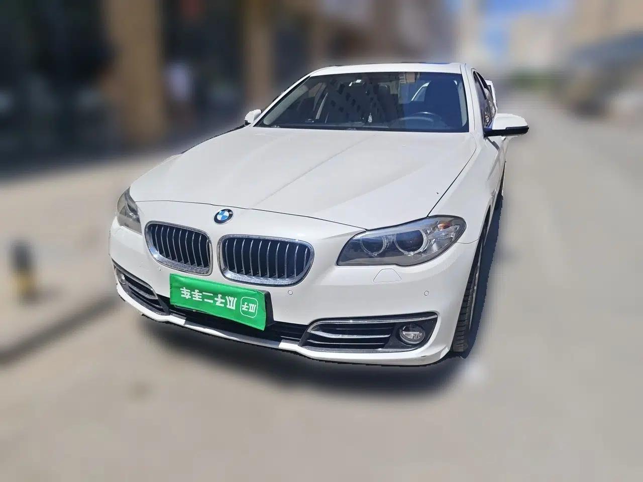 BMW 5 Series 2014 525Li Luxury Design Package — миниатюра 2