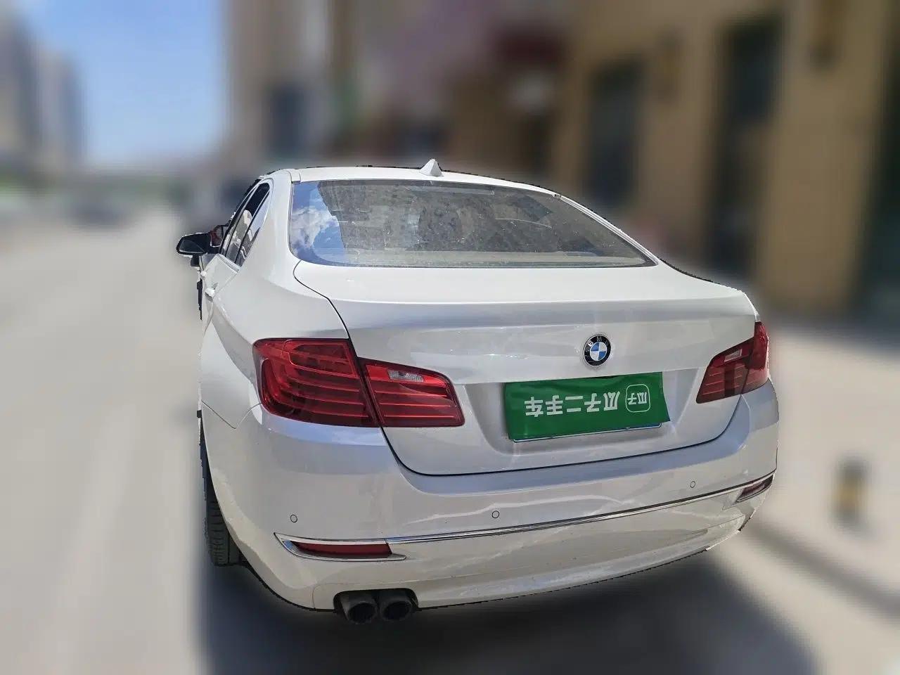 BMW 5 Series 2014 525Li Luxury Design Package — миниатюра 5