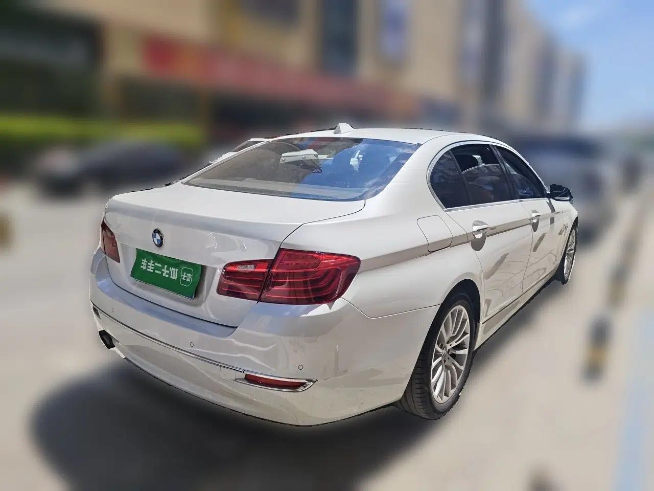 BMW 5 Series 2014 525Li Luxury Design Package — миниатюра 6