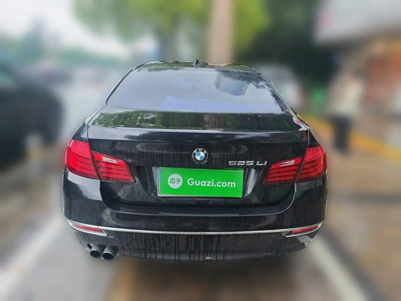 BMW 5 Series 2014 525Li Luxury Design Package — миниатюра 5