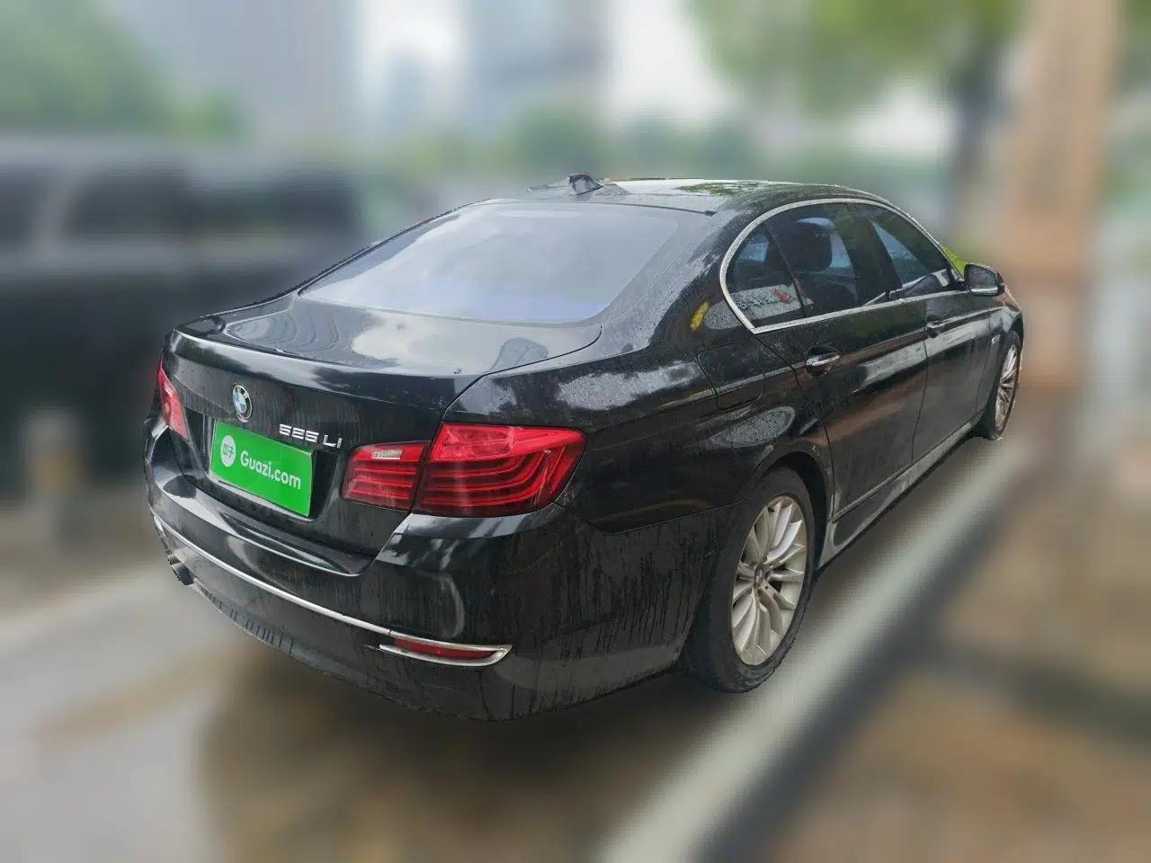 BMW 5 Series 2014 525Li Luxury Design Package — миниатюра 6