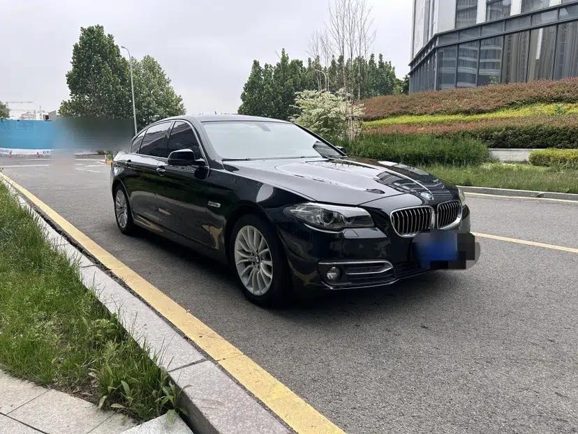BMW 5 Series 2017 525Li Luxury Design Package — миниатюра 17