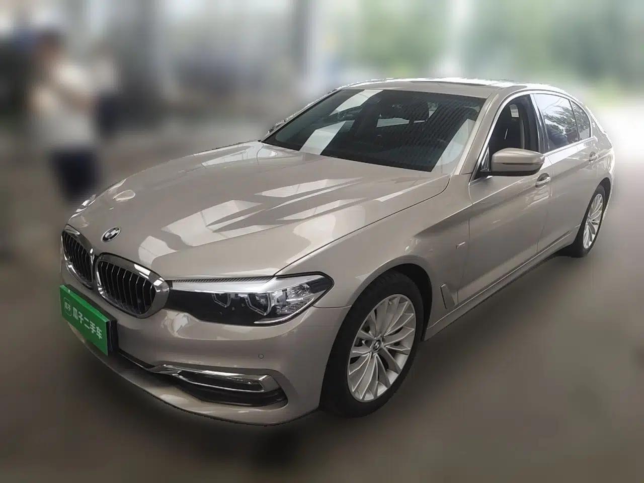 BMW 5 Series 2018 530Li xDrive Luxury Package — миниатюра 1