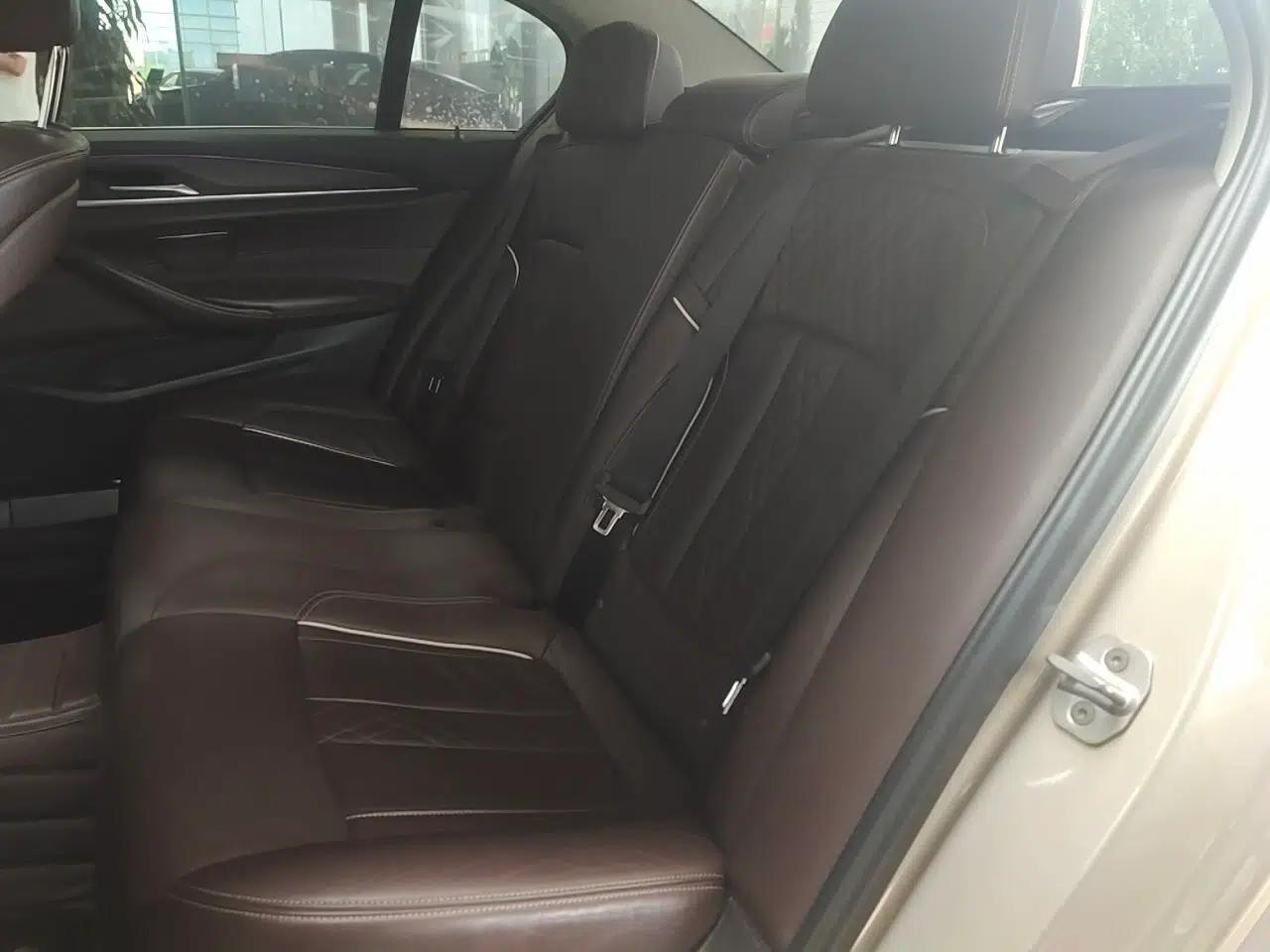 BMW 5 Series 2018 530Li xDrive Luxury Package — миниатюра 17