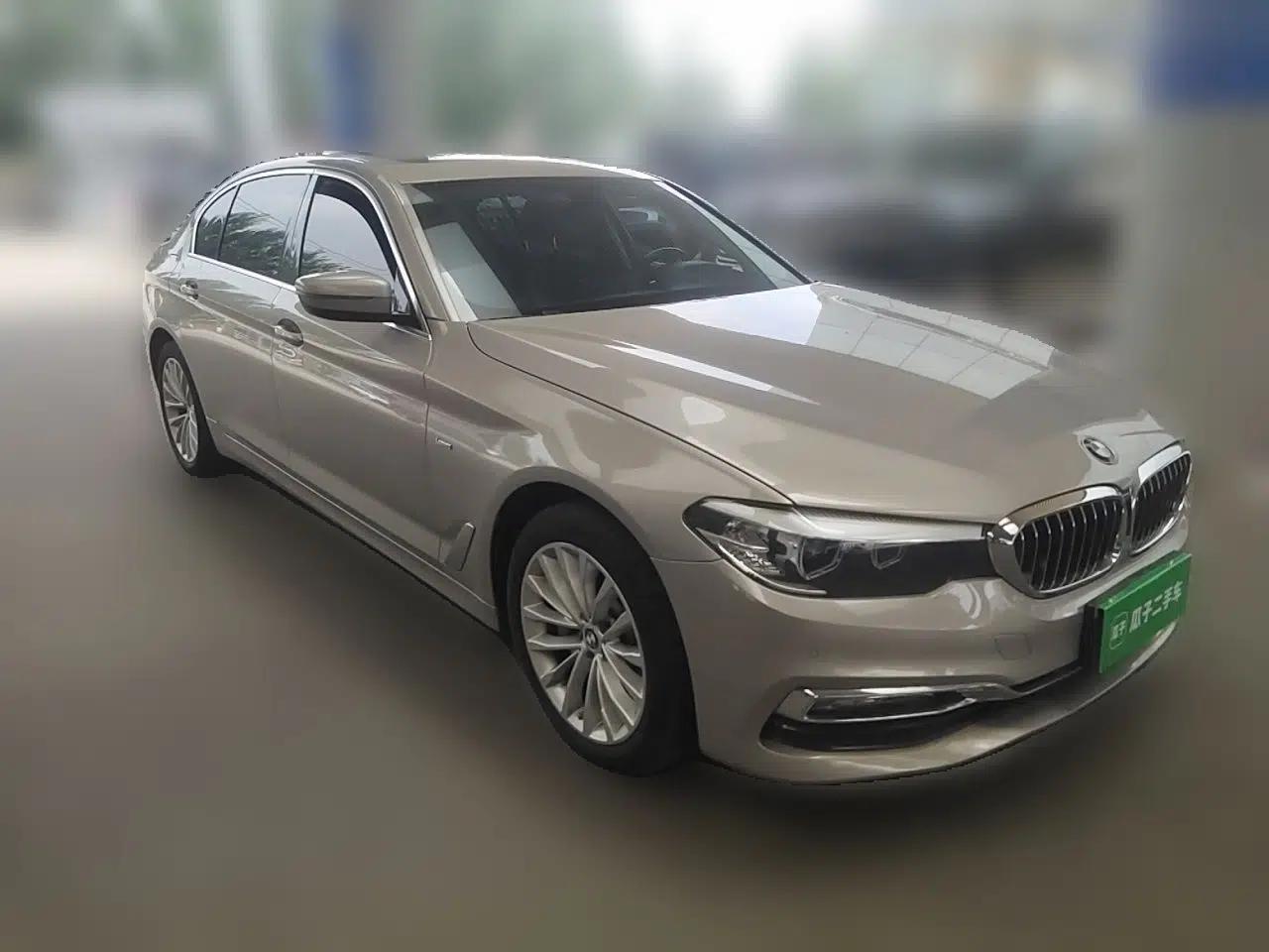 BMW 5 Series 2018 530Li xDrive Luxury Package — миниатюра 3