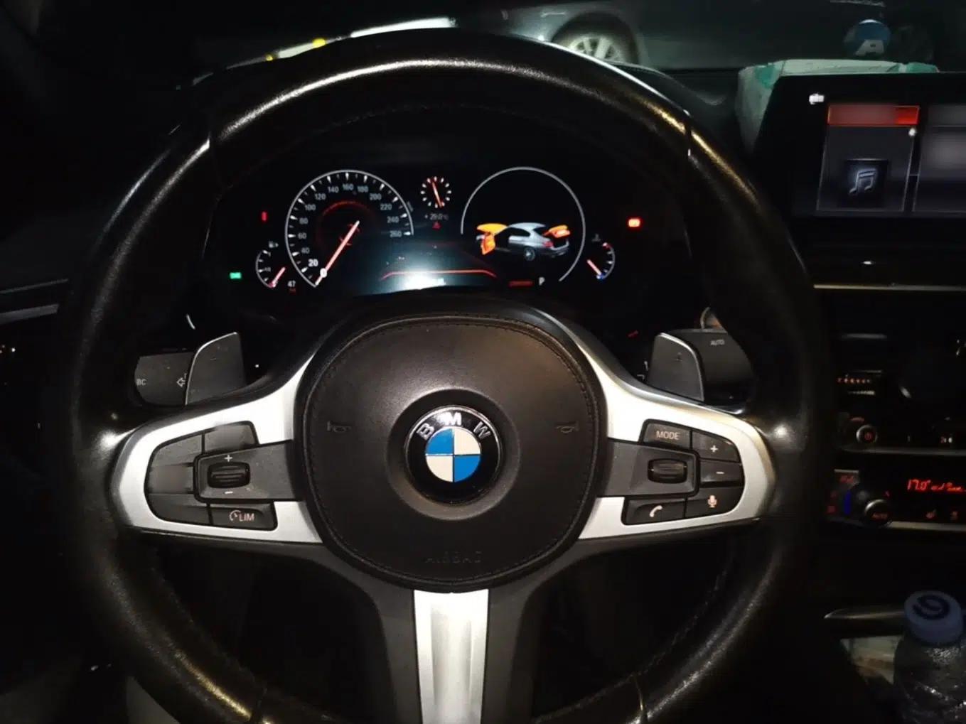 BMW 5 Series 2019 530Li Leading Model M Sport Package — миниатюра 10