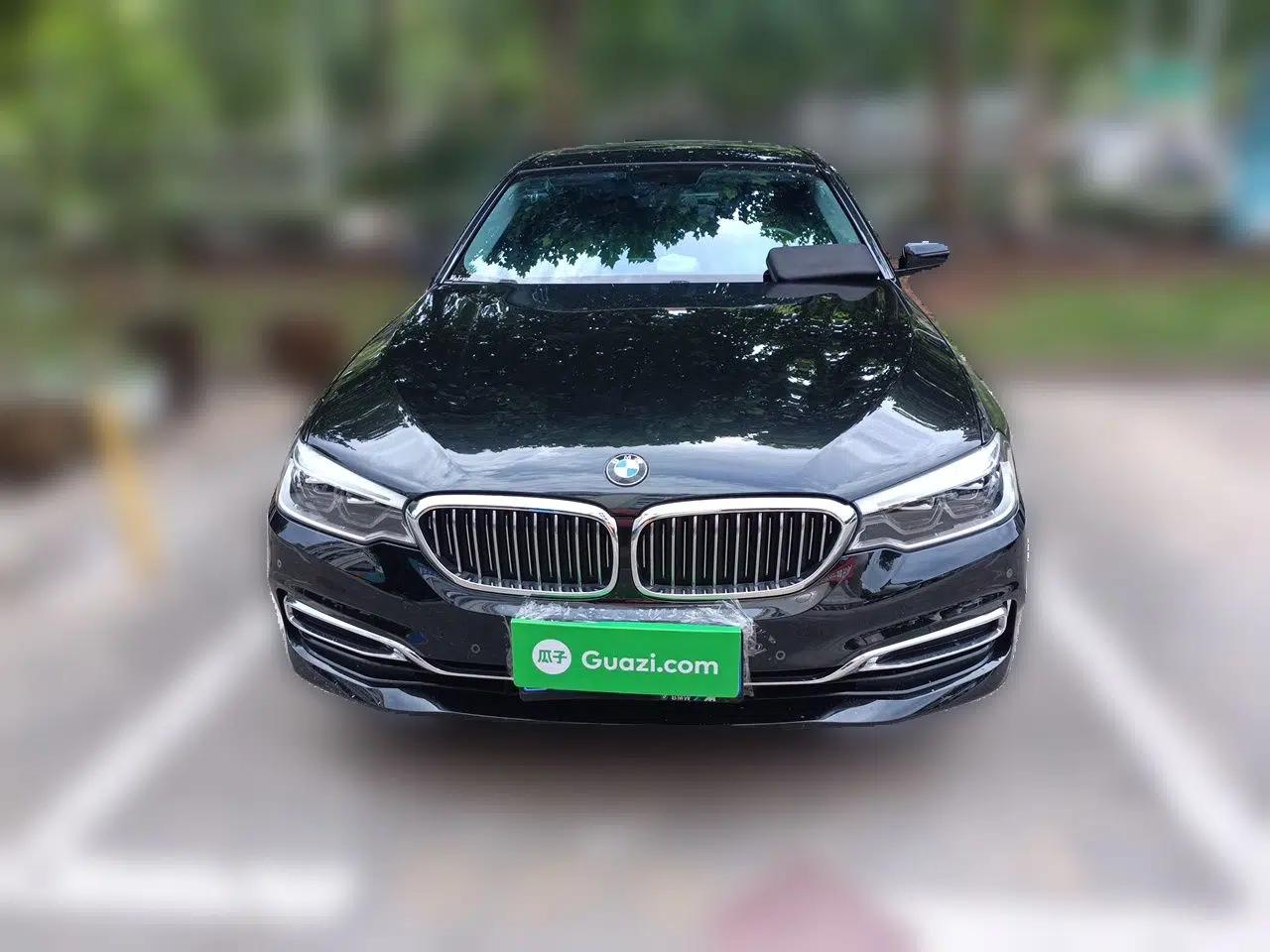 BMW 5 Series 2020 530Li Leading Edition Luxury Package — миниатюра 2