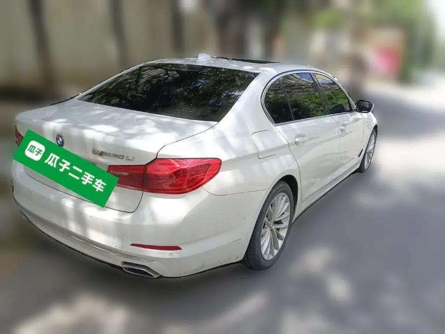 BMW 5 Series 2019 Facelifted 530Li Leading Edition Luxury Package — миниатюра 6