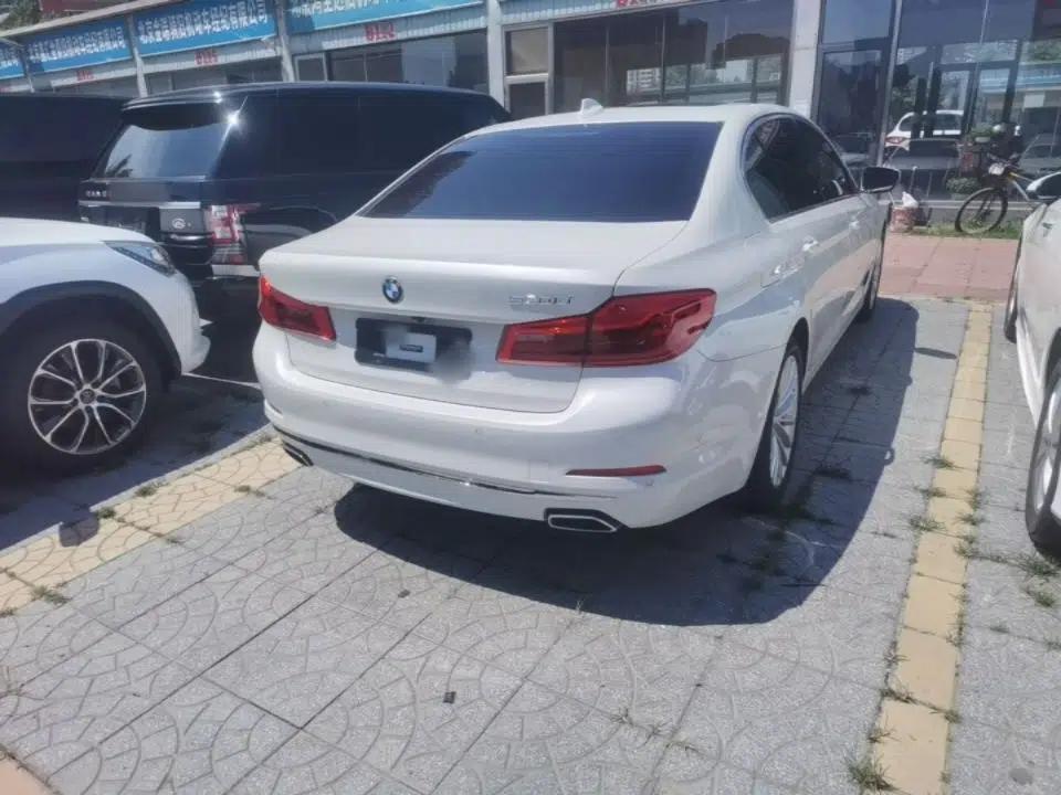 BMW 5 Series 2019 Facelifted 530Li Luxury Edition Premium Package — миниатюра 6