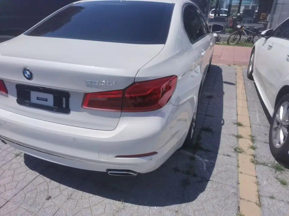 BMW 5 Series 2019 Facelifted 530Li Luxury Edition Premium Package — миниатюра 9