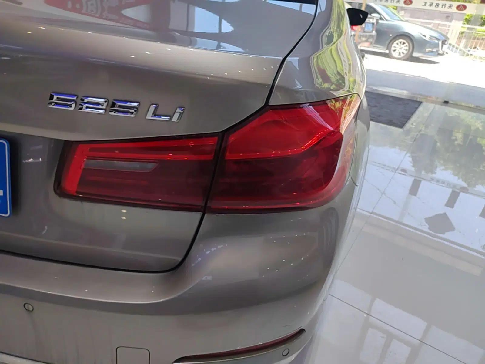 BMW 5 Series 2019 Facelifted 525Li Luxury Package — миниатюра 9