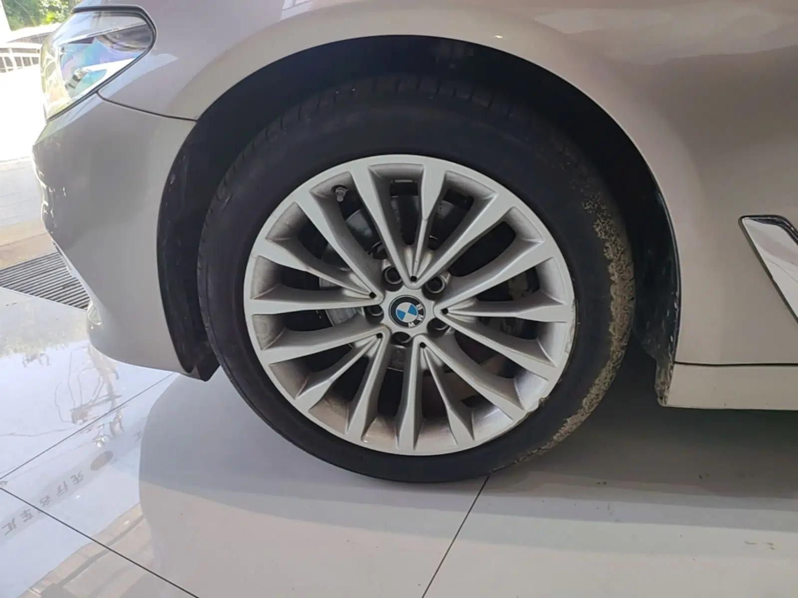 BMW 5 Series 2019 Facelifted 525Li Luxury Package — миниатюра 10