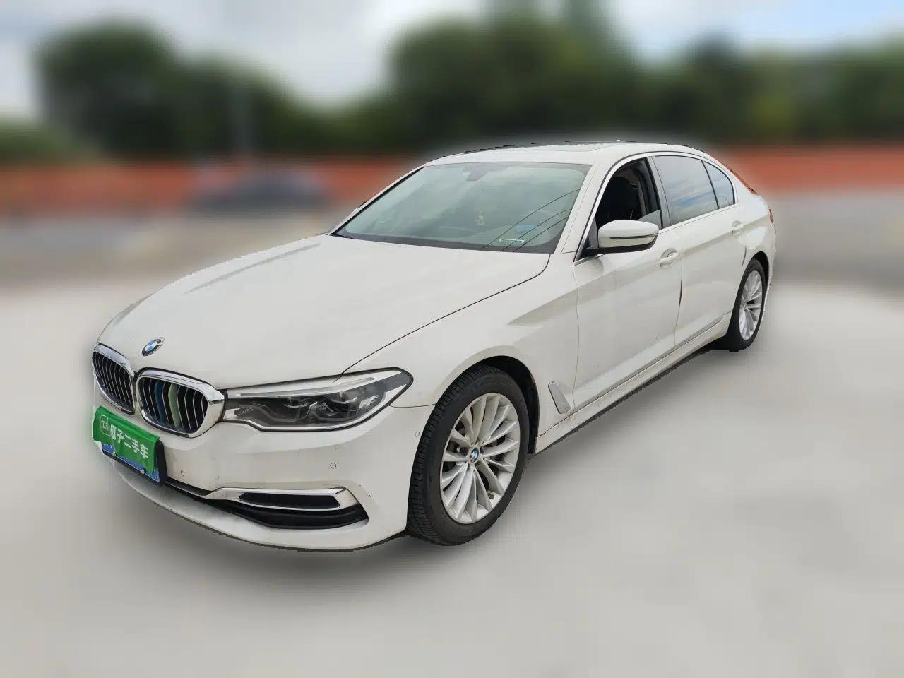 BMW 5 Series 2020 530Li Leading Edition Luxury Package — миниатюра 1