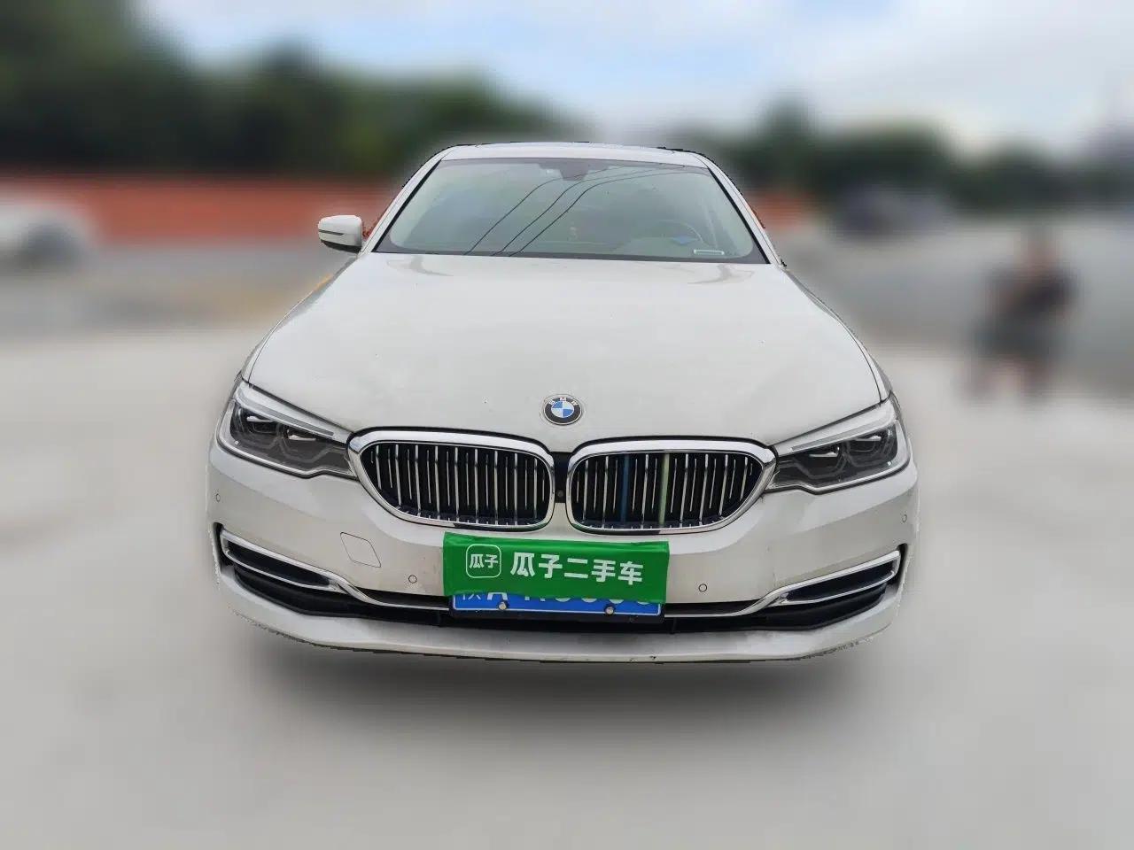 BMW 5 Series 2020 530Li Leading Edition Luxury Package — миниатюра 2