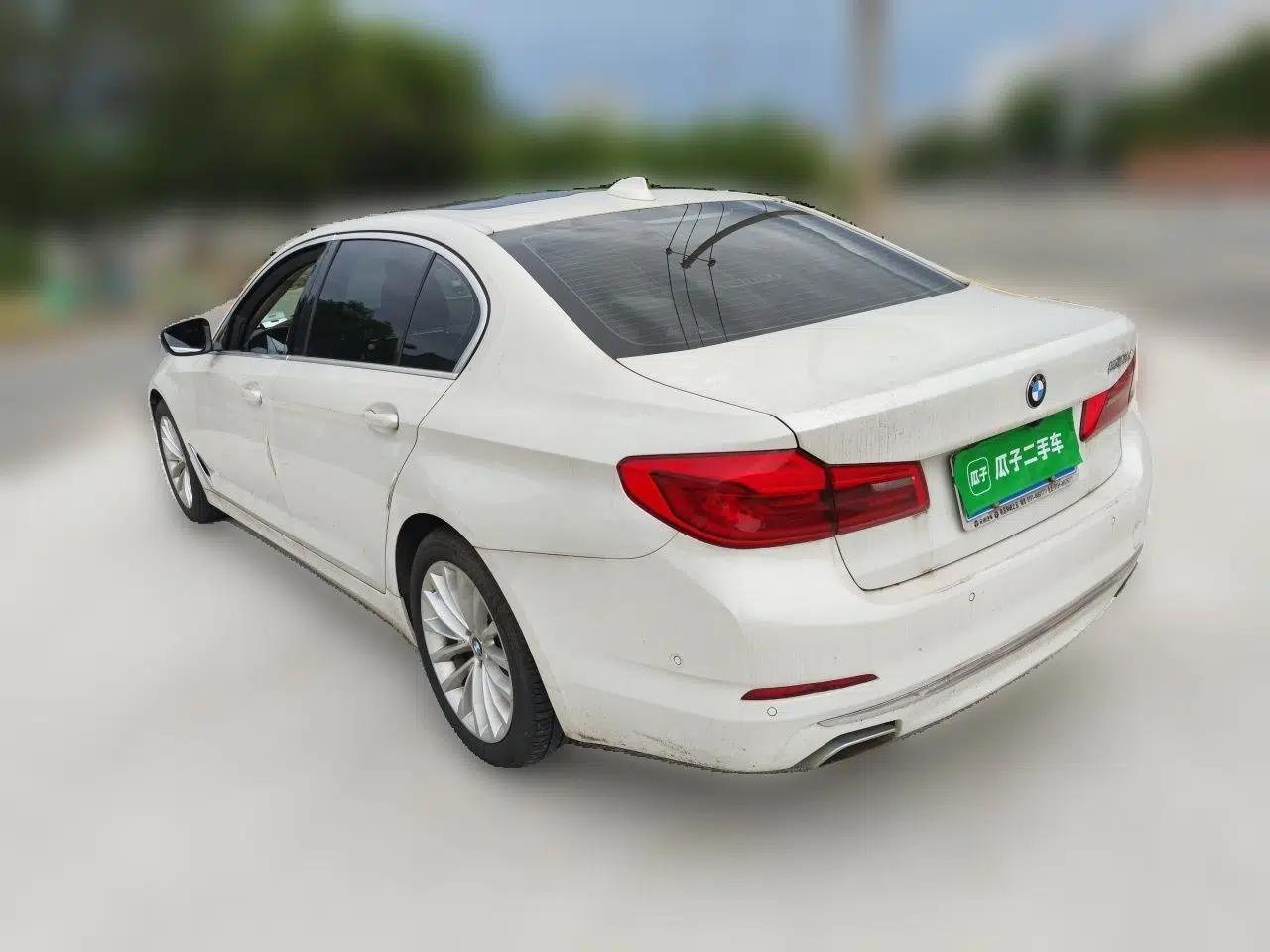 BMW 5 Series 2020 530Li Leading Edition Luxury Package — миниатюра 4