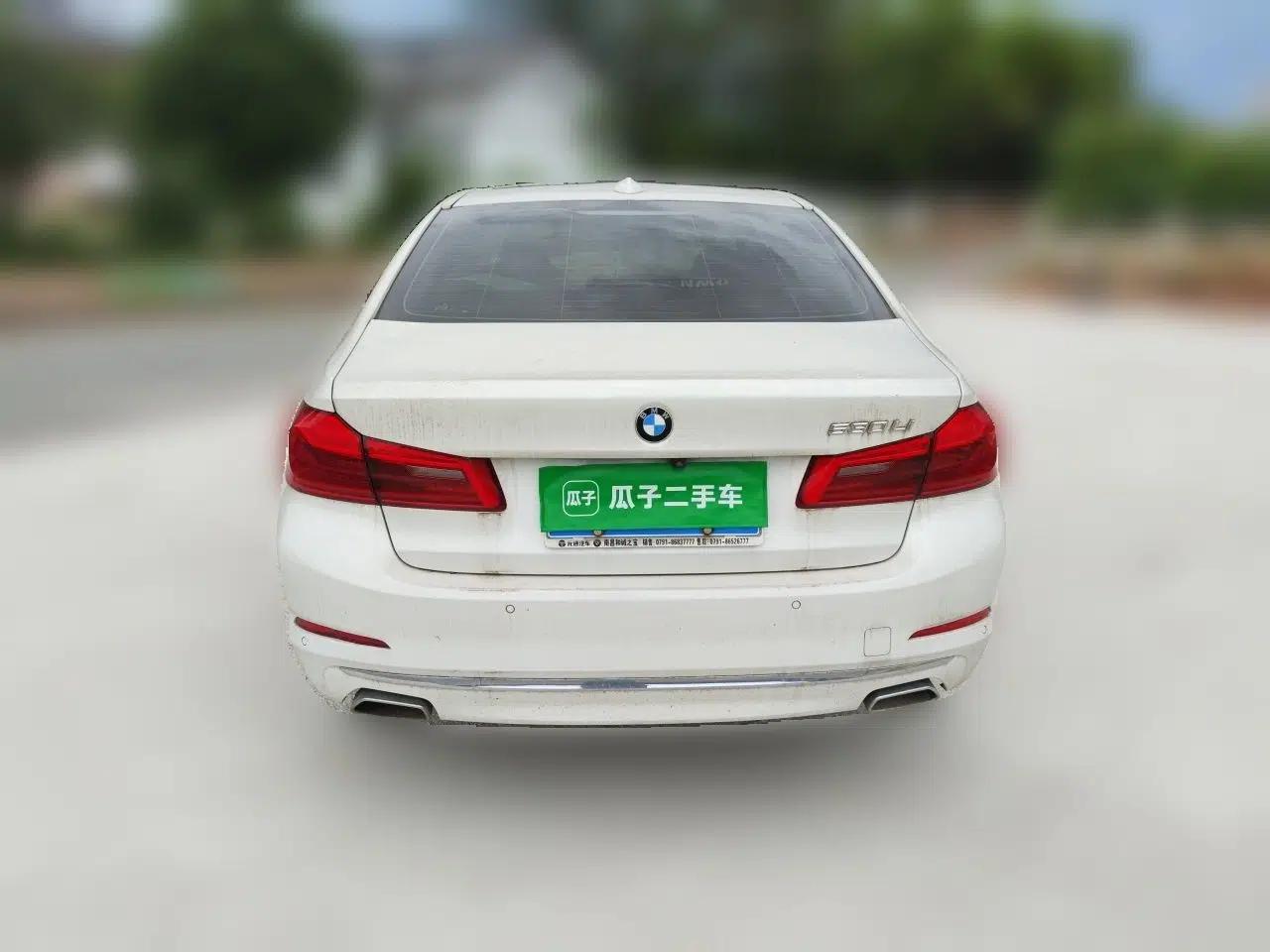 BMW 5 Series 2020 530Li Leading Edition Luxury Package — миниатюра 5