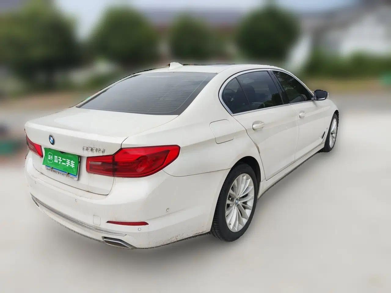 BMW 5 Series 2020 530Li Leading Edition Luxury Package — миниатюра 6