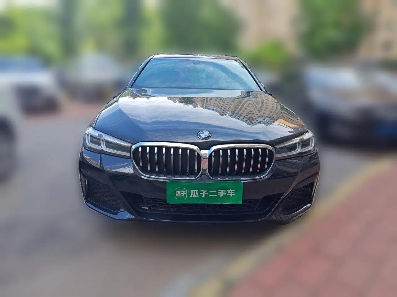 BMW 5 Series 2022 Second Facelift 530Li Leading Edition Luxury Package — миниатюра 2