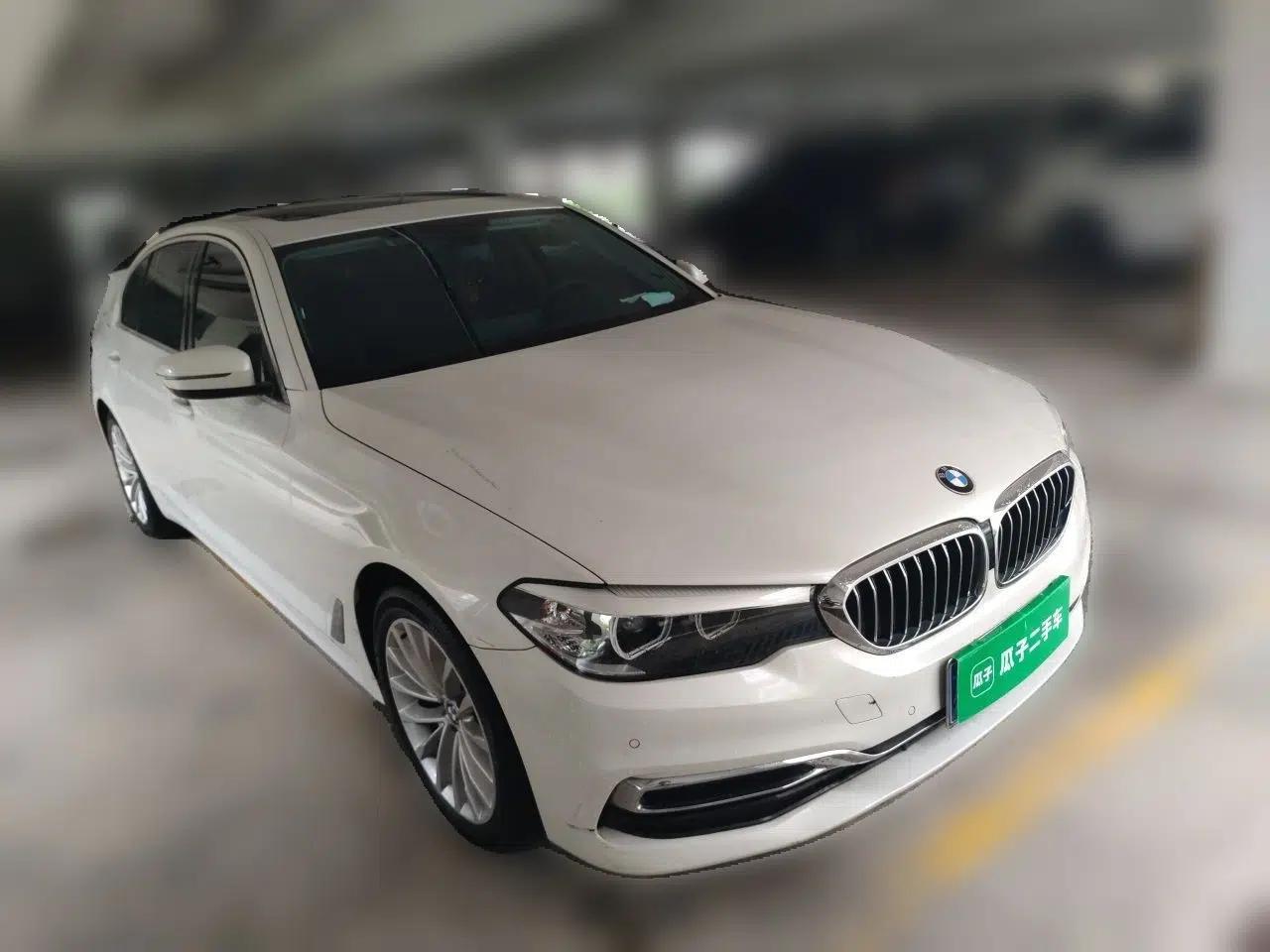 BMW 5 Series 2019 525Li Luxury Package — миниатюра 3