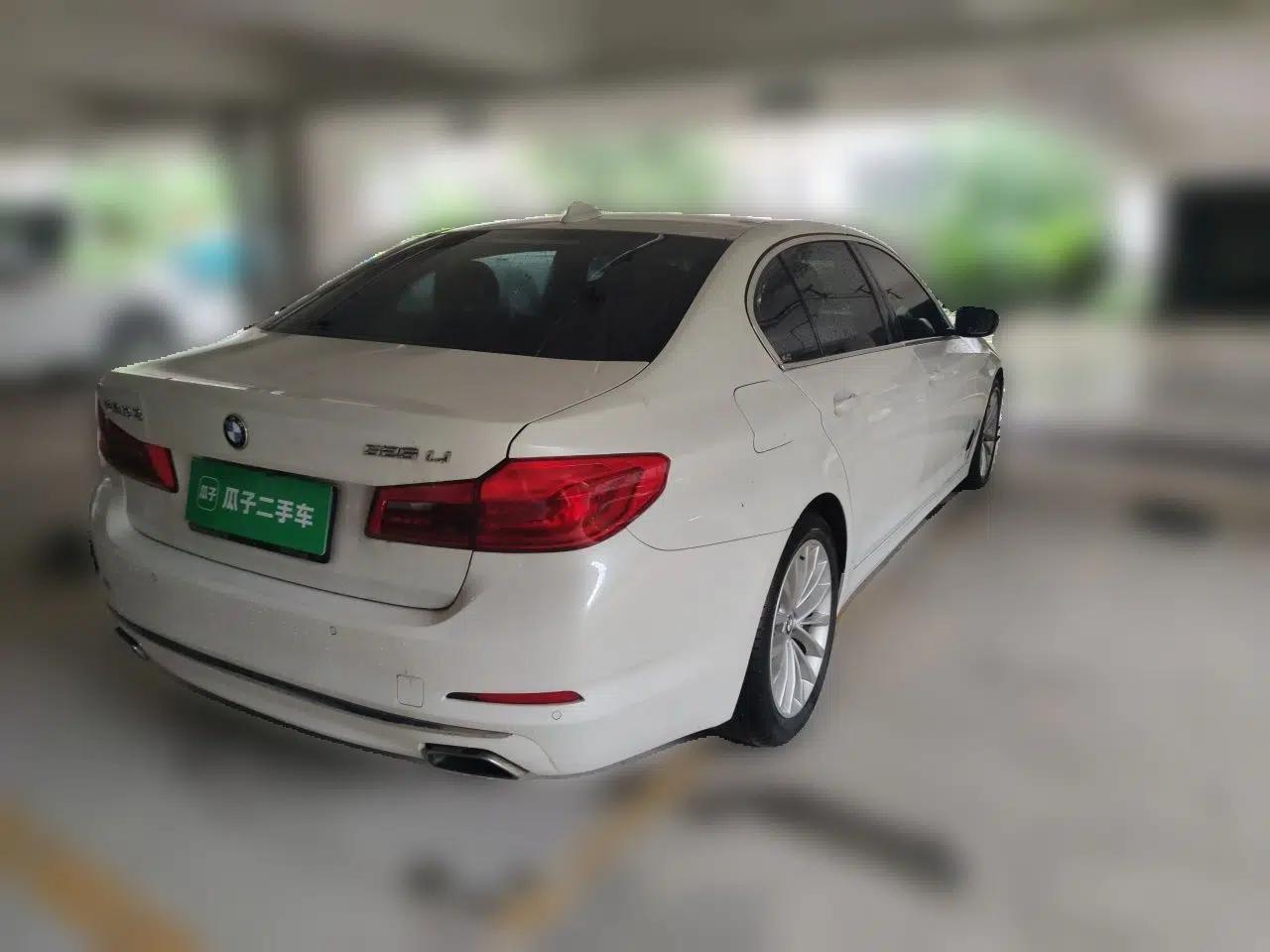 BMW 5 Series 2019 525Li Luxury Package — миниатюра 6
