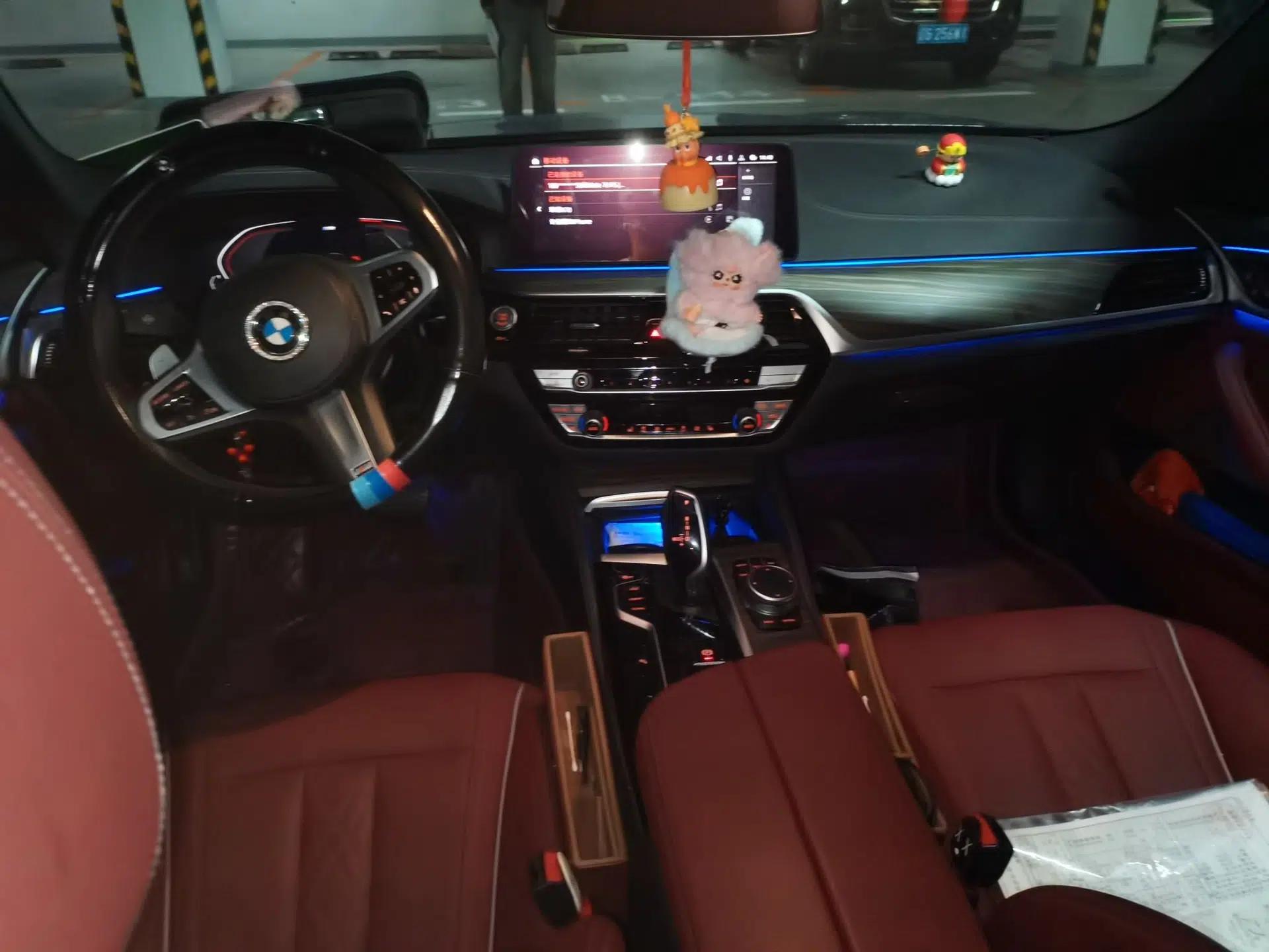 BMW 5 Series 2022 Restyled 530Li Leading Edition M Sport Package — миниатюра 9