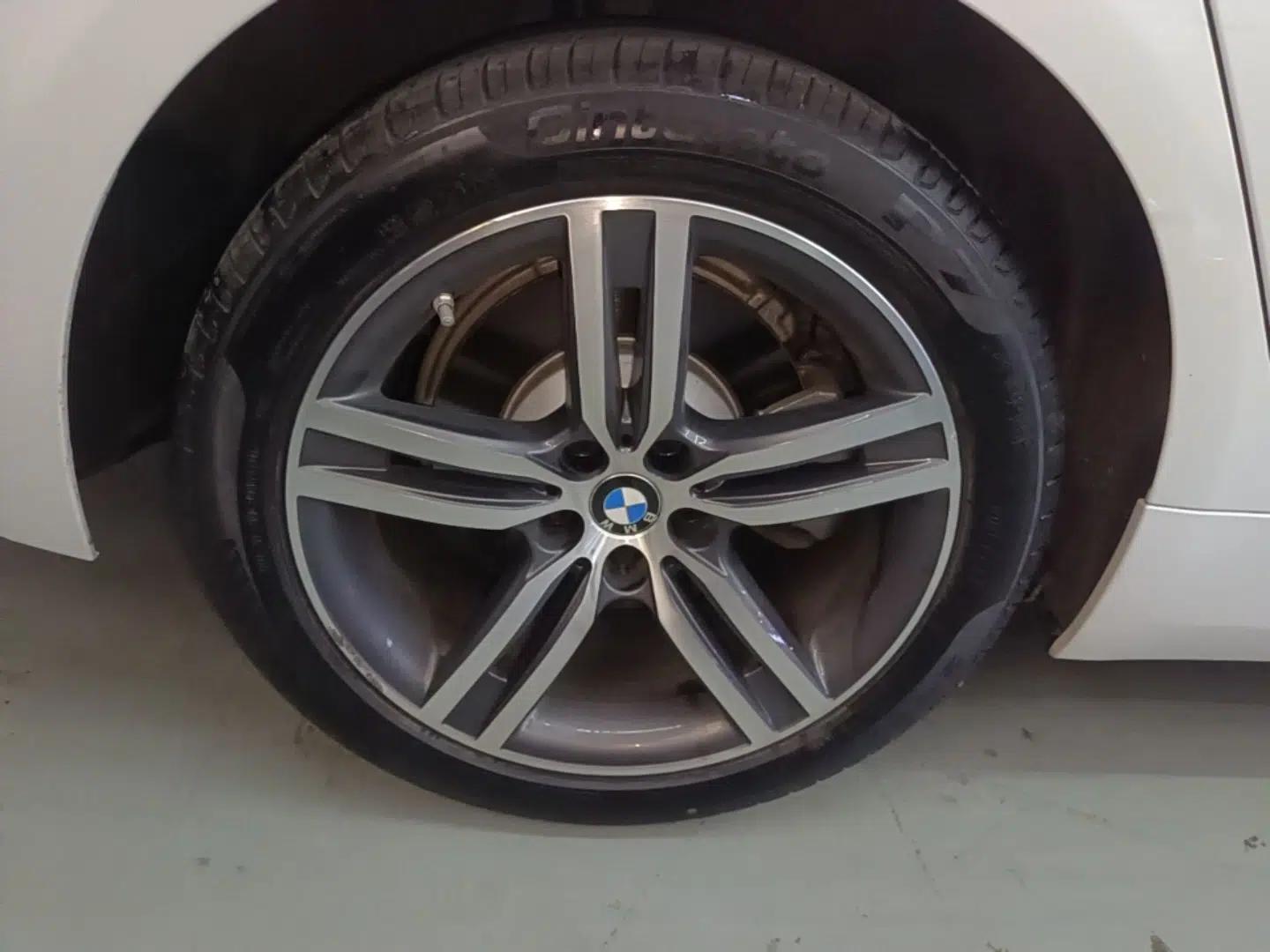 BMW 5 Series 2022 Updated 530Li Leading Edition Luxury Package — миниатюра 11