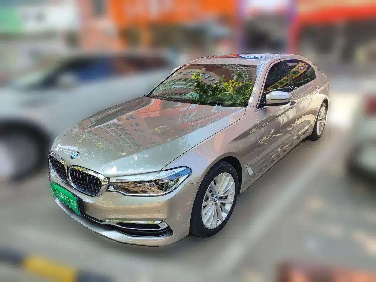 BMW 5 Series 2020 530Li Leading Edition Luxury Package — миниатюра 1