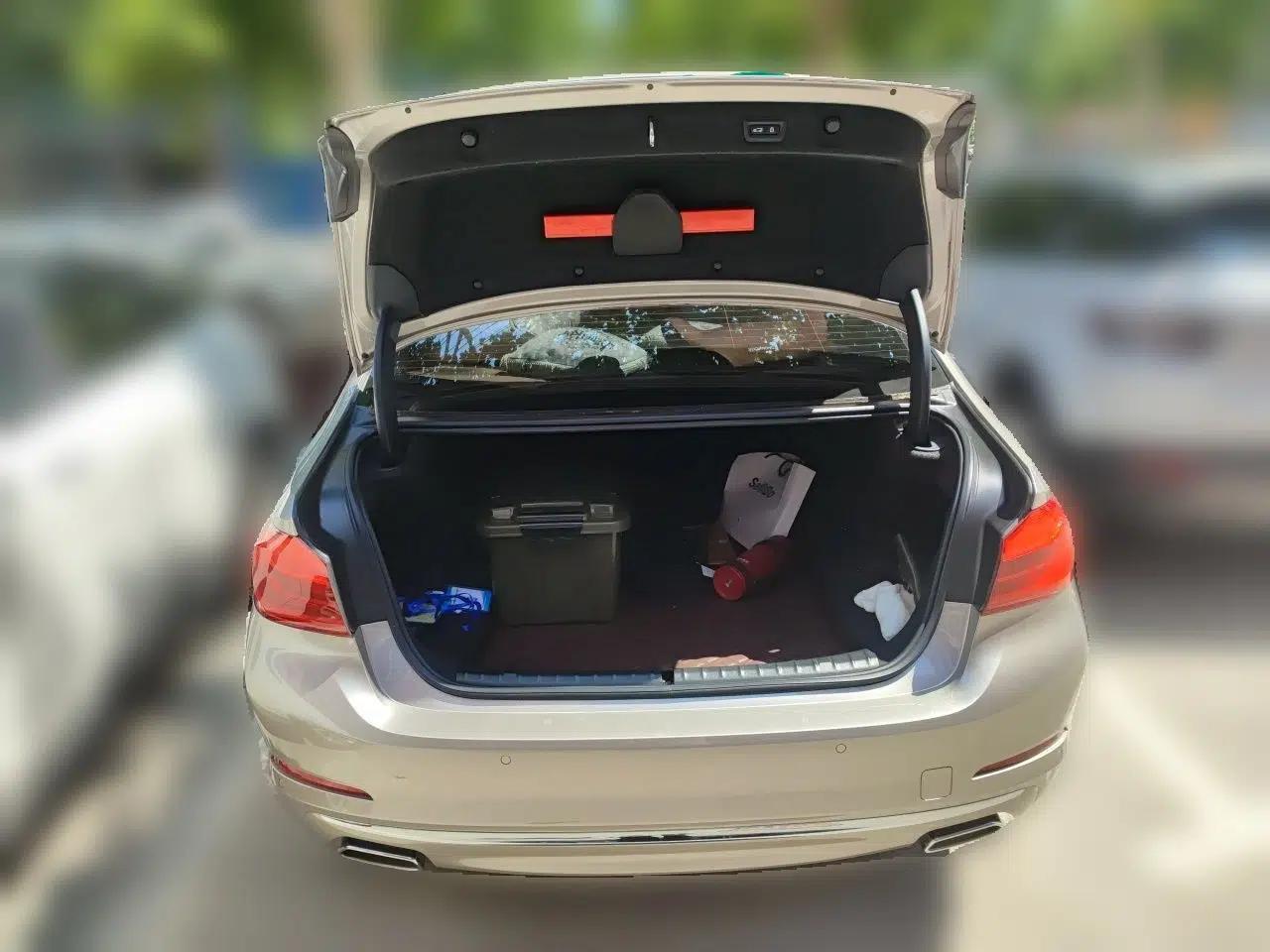 BMW 5 Series 2020 530Li Leading Edition Luxury Package — миниатюра 19