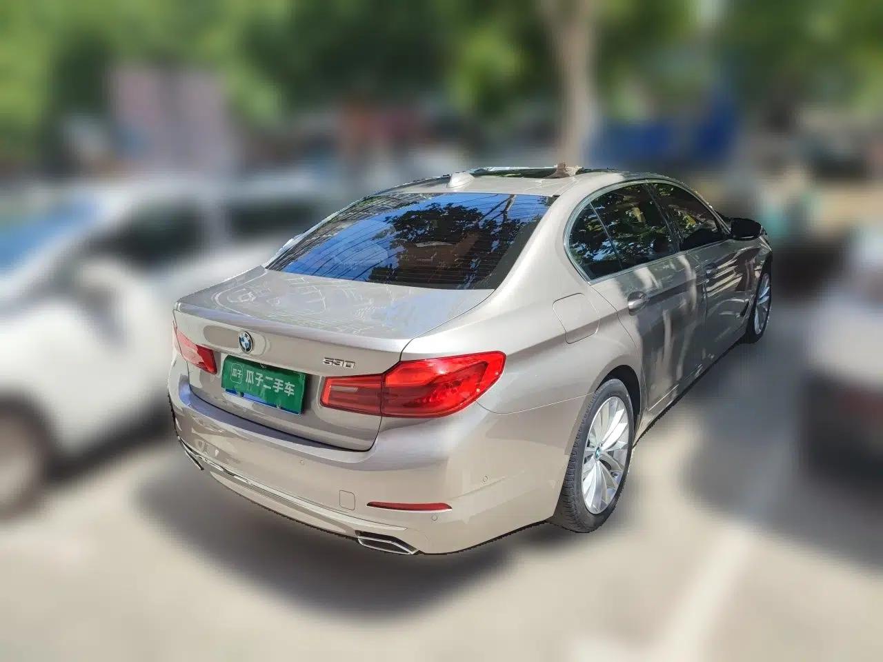 BMW 5 Series 2020 530Li Leading Edition Luxury Package — миниатюра 6