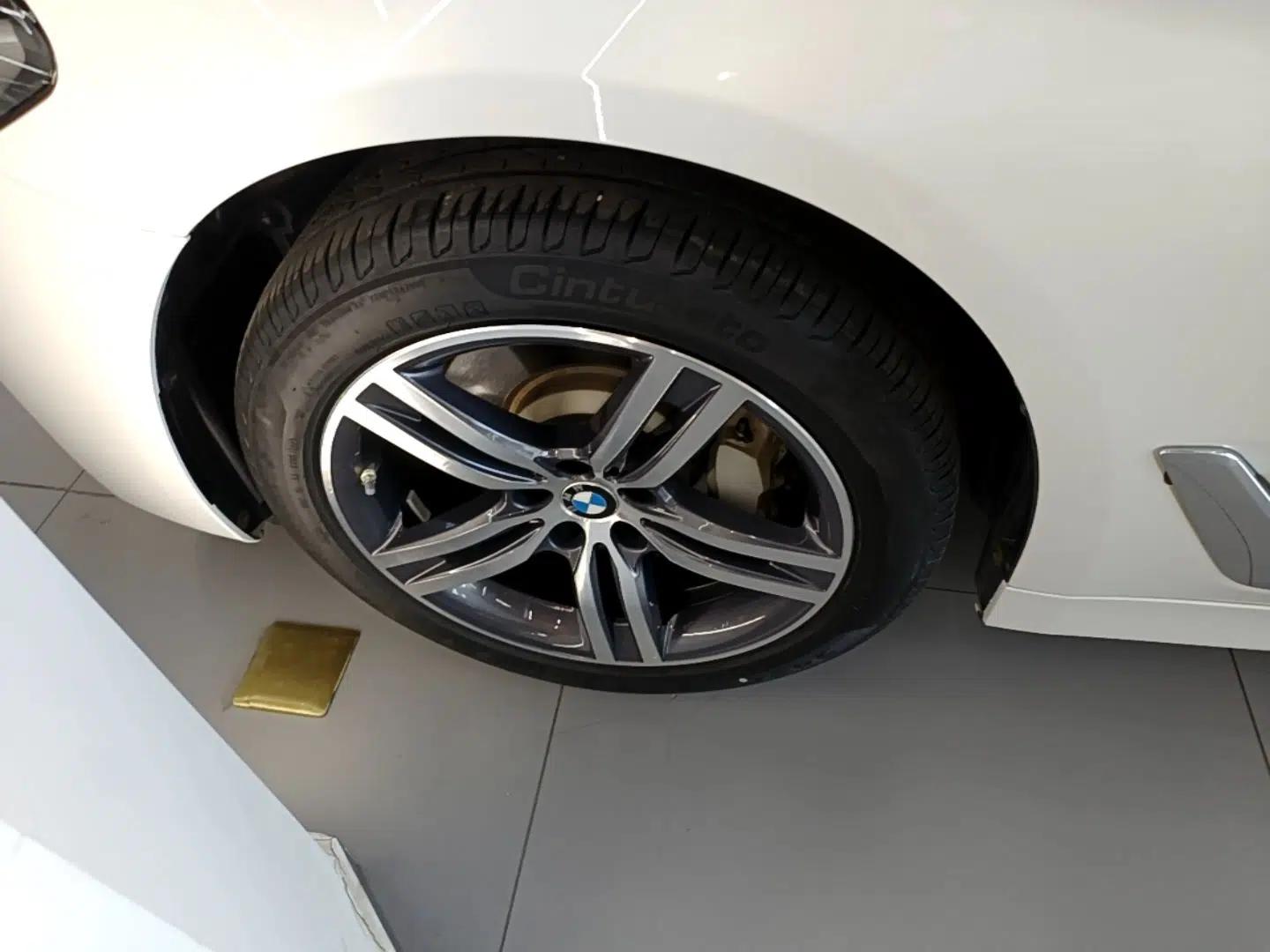 BMW 5 Series 2023 530Li Leading Edition Luxury Package — миниатюра 10