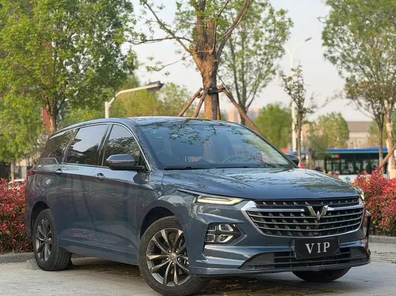 Victory 2020 1.5T CVT Premium Edition — миниатюра 3