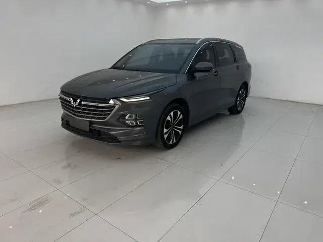 Victory 2020 1.5T CVT Flagship Edition