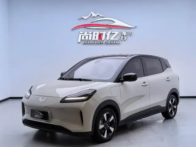 Wuling Bingo PLUS 2024 Model, 401km/h, 5-seater