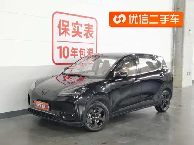 Wuling Bingo PLUS 2024 510km Flagship Edition