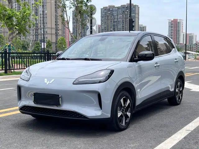 Wuling Bingo PLUS 2024 510km Flagship Edition