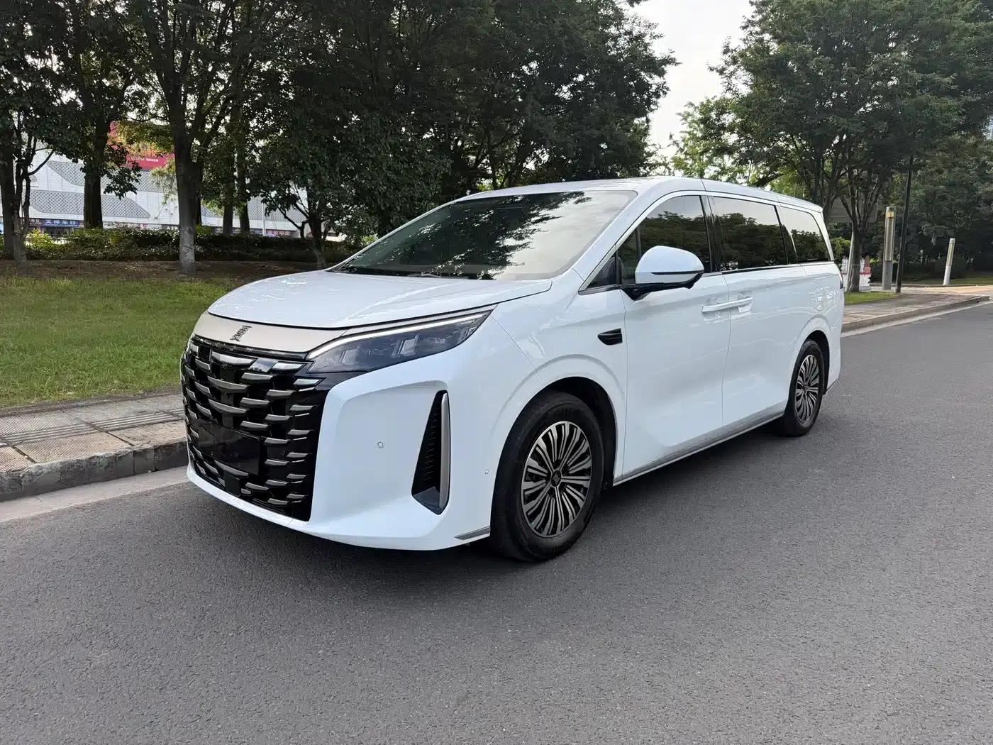 Summer 2025 DM-i 1.5T 100km Super Edition — миниатюра 1