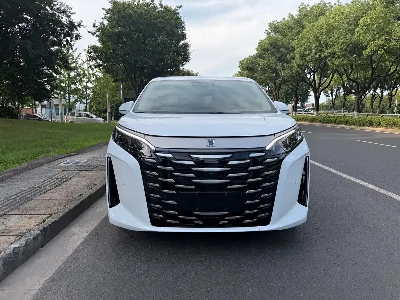 Summer 2025 DM-i 1.5T 100km Super Edition — миниатюра 2