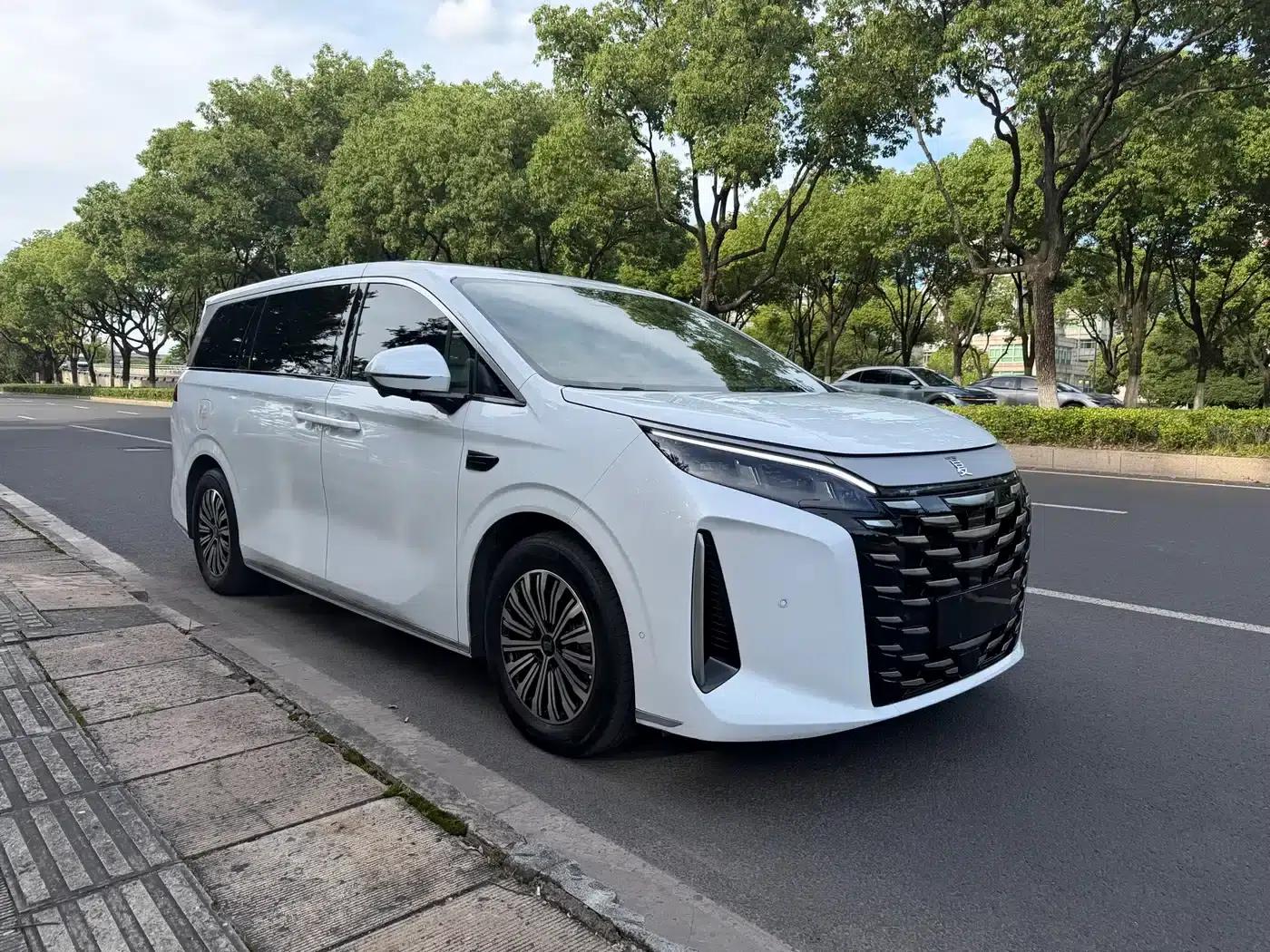Summer 2025 DM-i 1.5T 100km Super Edition — миниатюра 17