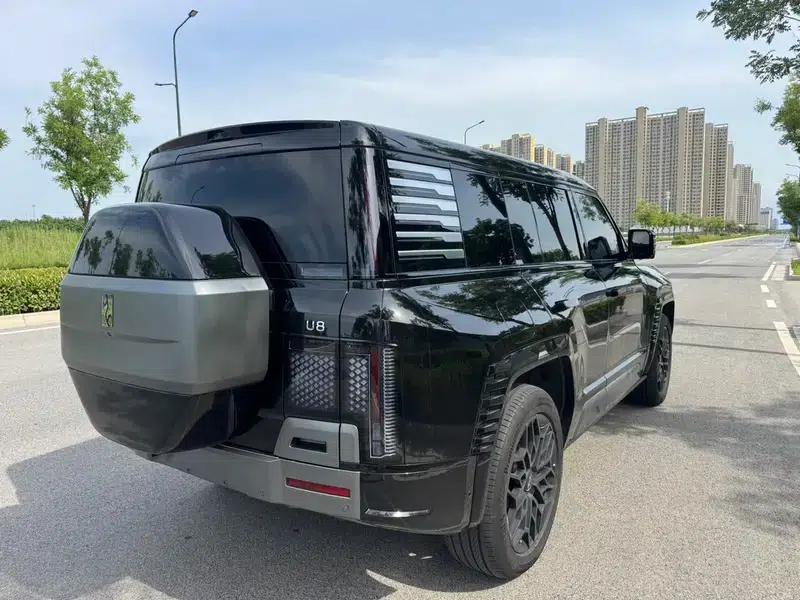 Looking up at the 2023 U8 Luxury Edition — миниатюра 6