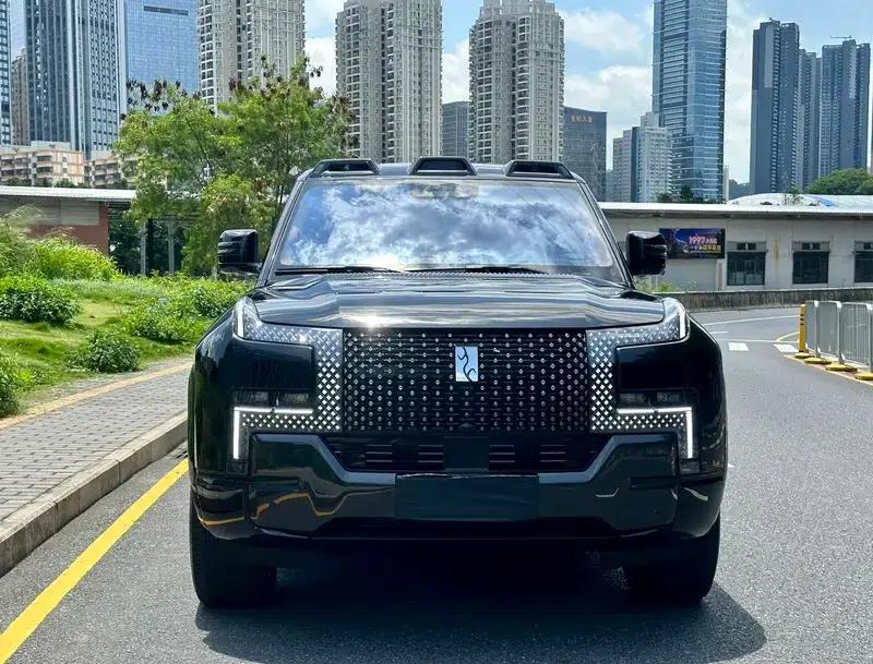Looking up at the 2025 U8L Dingshi Edition — миниатюра 2