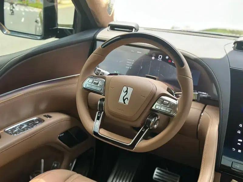 Looking up at the 2025 U8L Dingshi Edition — миниатюра 15